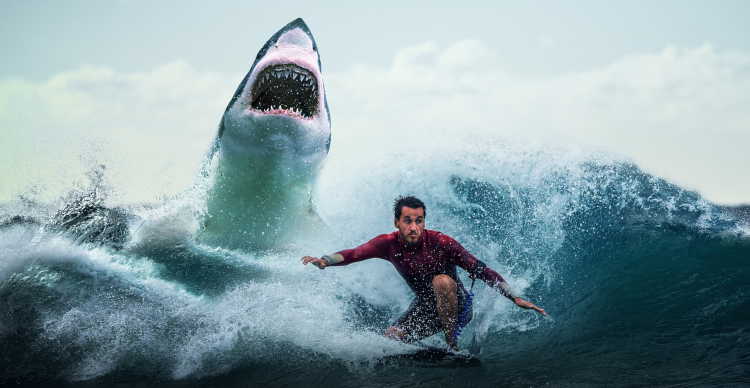 attaque d'un surfer par un requin